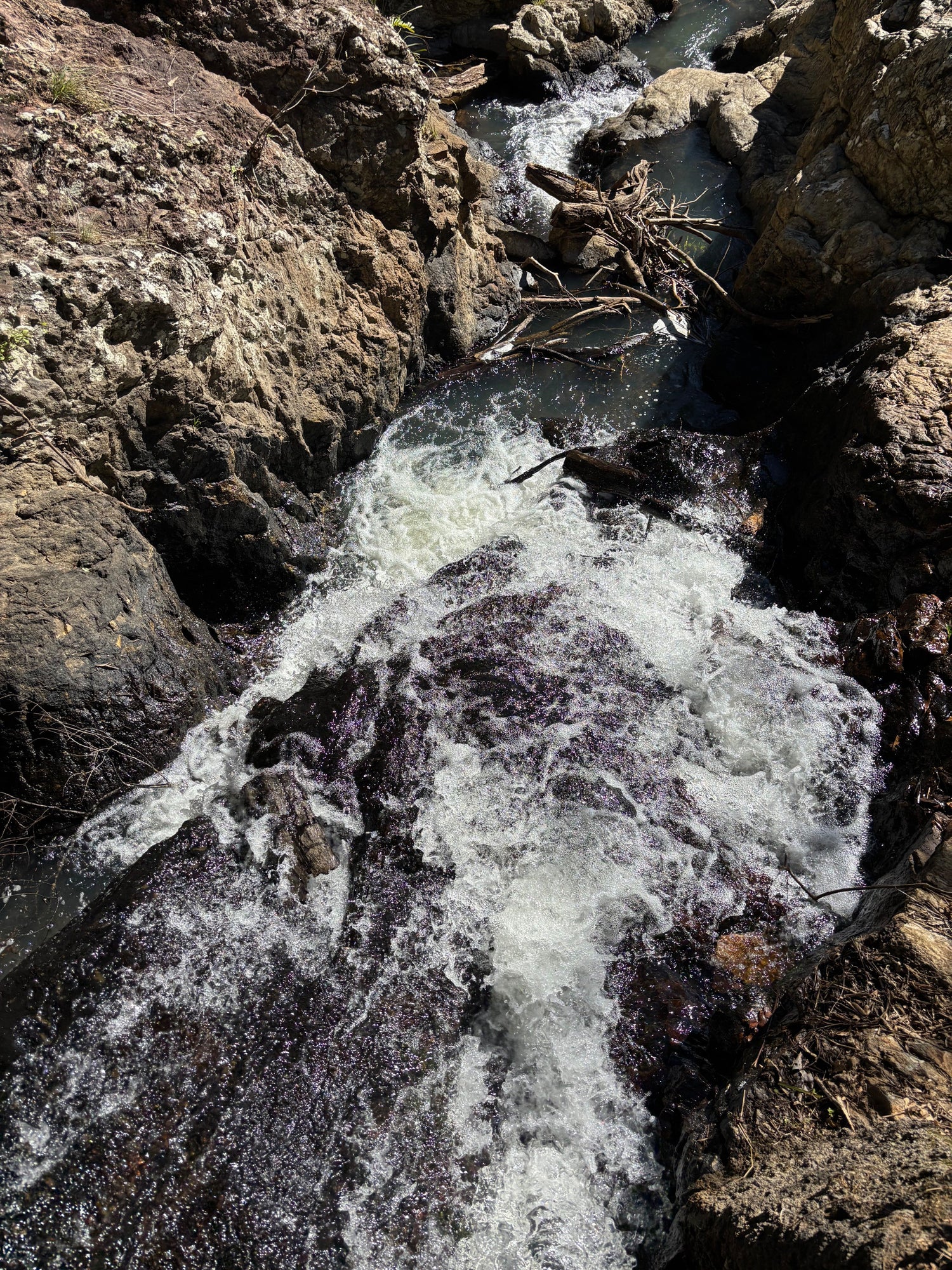 Hydrating Toners vs Mists: Which One Does Your Skin Need?