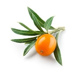 Anti-Ageing Elixir - Posana Skincare