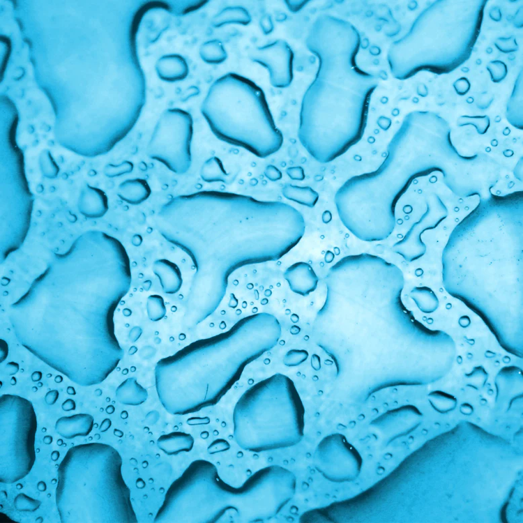 Anti-Ageing Toning Mist - launching soon! - Posana Skincare