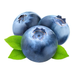 Anti-Ageing Toning Mist - launching soon! - Posana Skincare