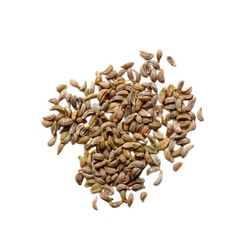 Gel Cleanser - launching soon! - Posana Skincare