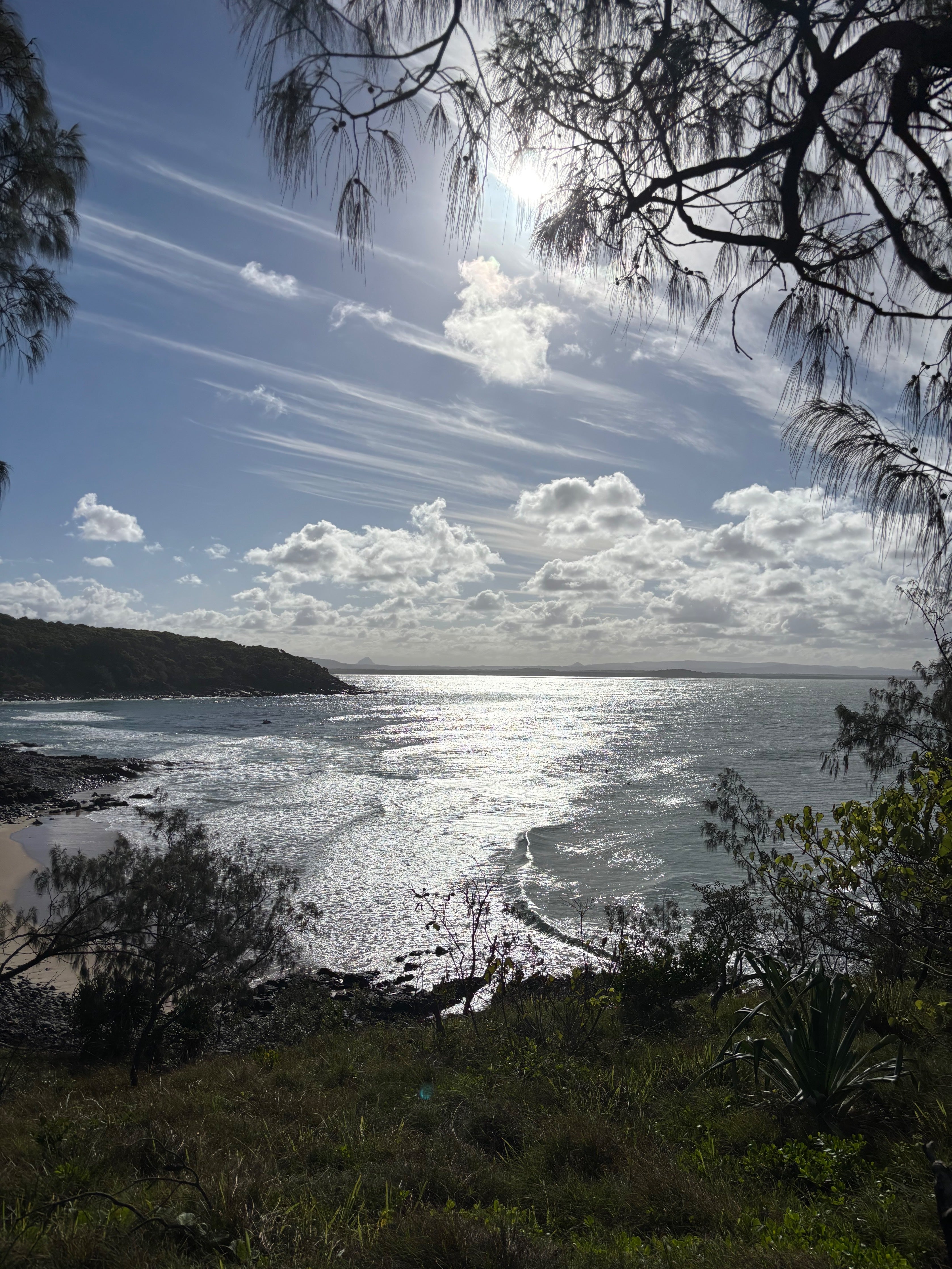 Landscape view of a coastal area with trees and a body of water under a blue sky with clouds.