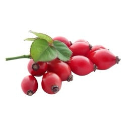 Rosehip Cream Exfoliant - Posana Skincare