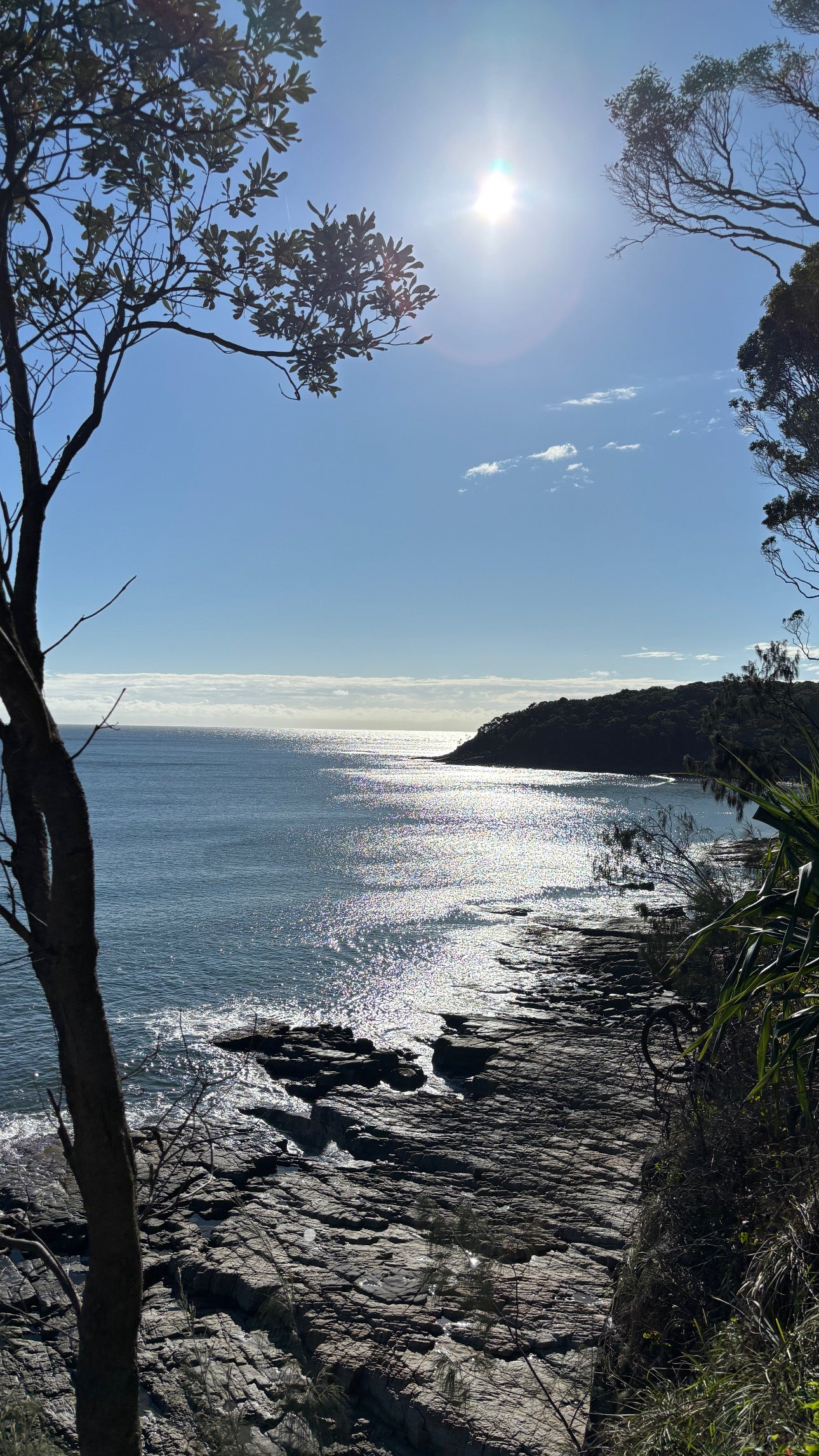 ocean views noosa national park